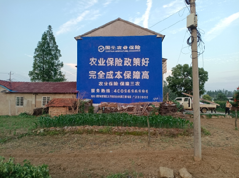 都昌墙体广告的优劣势你知道吗？